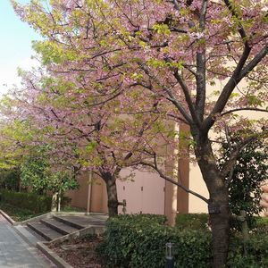 Meet your Posher, Joomin